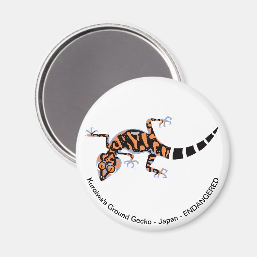 Gecko - magnet (Voorkant / Achterkant)