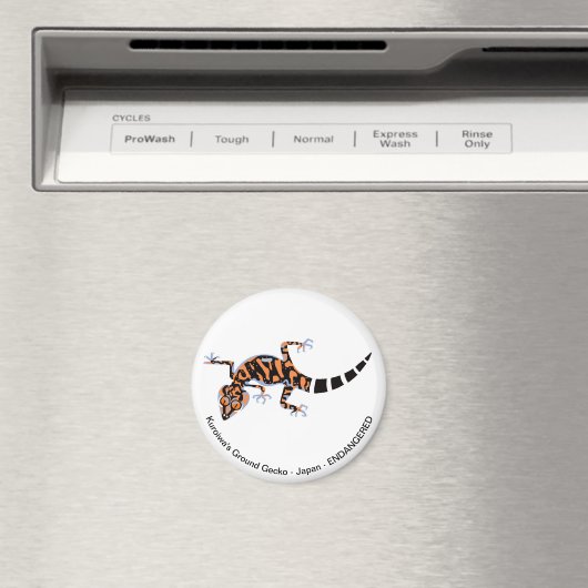 Gecko - magnet (Insitu (Vaatwasser))