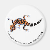 Gecko - magnet (Voorkant)