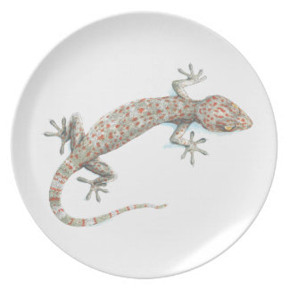 gecko melamine+bord