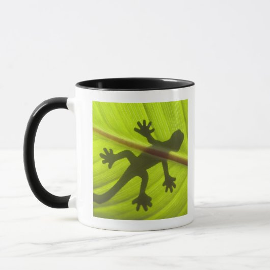 Gecko Mok (Links)