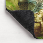 Gecko Mousepad Muismat (Hoek)