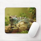 Gecko Mousepad Muismat (Met muis)