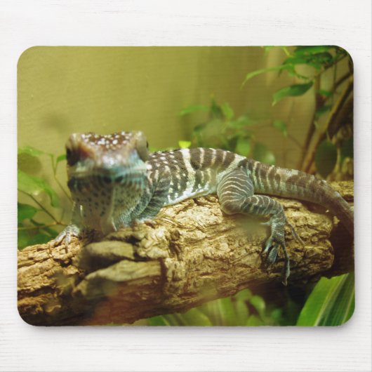 Gecko Mousepad Muismat (Voorkant)