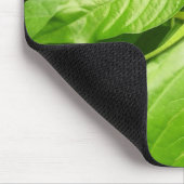 Gecko Muismat (Hoek)