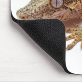 Gecko-muismatje Muismat (Hoek)