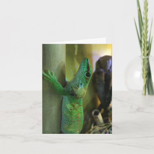 gecko notecard #2 (aanmoediging) kaart (Voorkant)