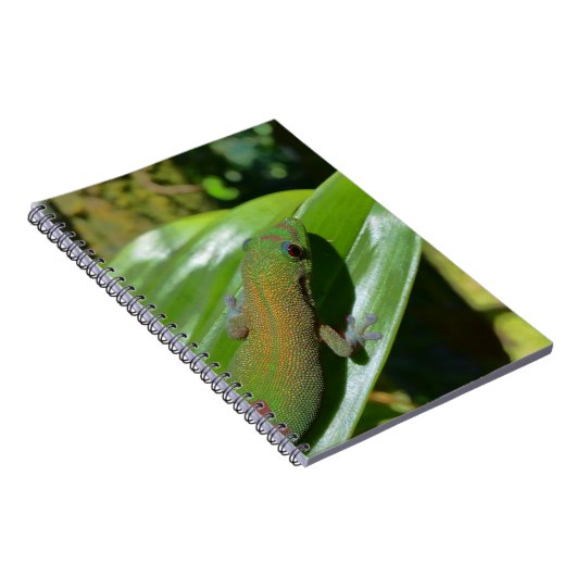 Gecko Notitieboek (Rechterzijde)