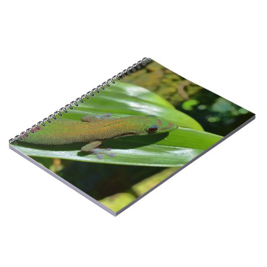 Gecko Notitieboek (Linkerzijde)