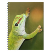 Gecko Notitieboek (Voorkant)