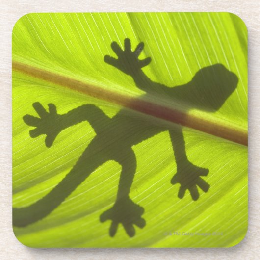 Gecko Onderzetter (Voorkant)