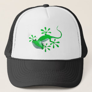 Gecko Pet