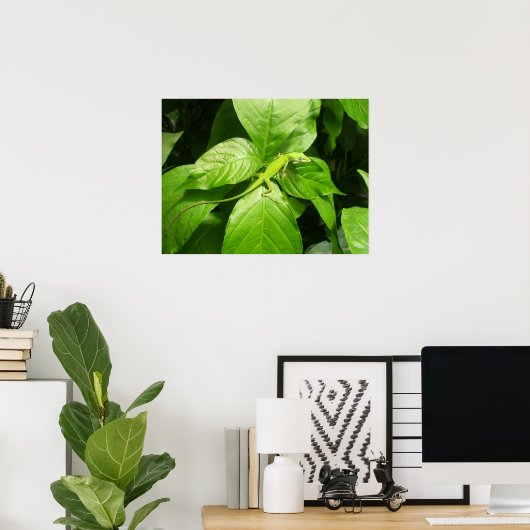Gecko Poster (Thuiskantoor)