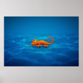 Gecko Poster (Voorkant)