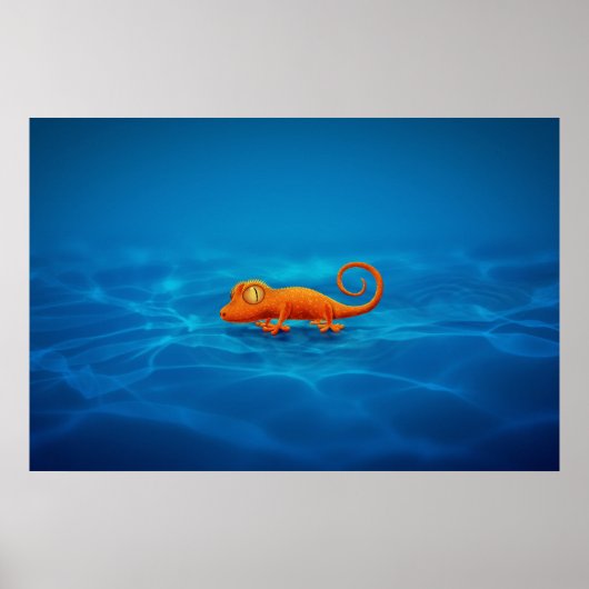 Gecko Poster (Voorkant)