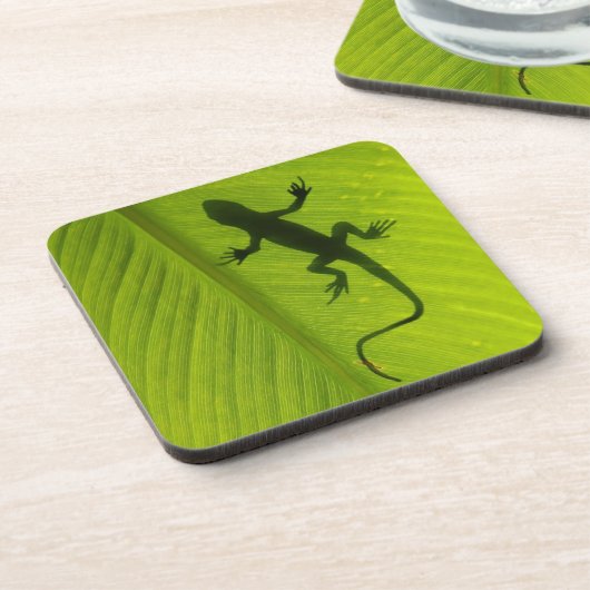 Gecko Silhouette Bier Onderzetter (Linkerzijde)