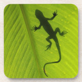 Gecko Silhouette Bier Onderzetter (Voorkant)