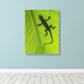 Gecko Silhouette Canvas Afdruk (Insitu (Houten vloer))