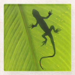 Gecko Silhouette Glazen Onderzetter
