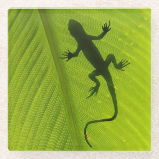 Gecko Silhouette Glazen Onderzetter (Voorkant)