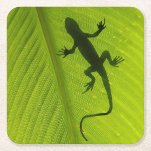 Gecko Silhouette Kartonnen Onderzetters