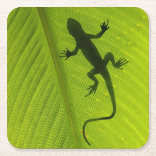 Gecko Silhouette Kartonnen Onderzetters (Voorkant)