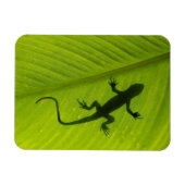 Gecko Silhouette Magneet (Horizontaal)