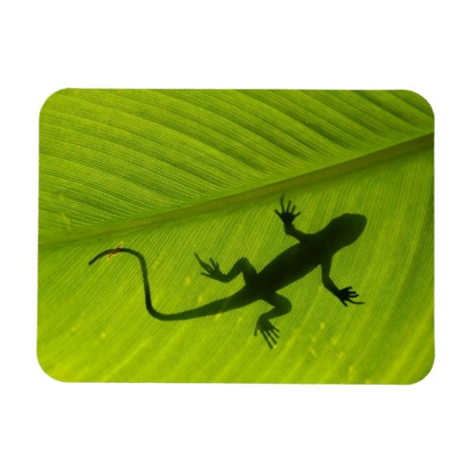 Gecko Silhouette Magneet (Horizontaal)
