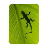 Gecko Silhouette Magneet (Verticaal)