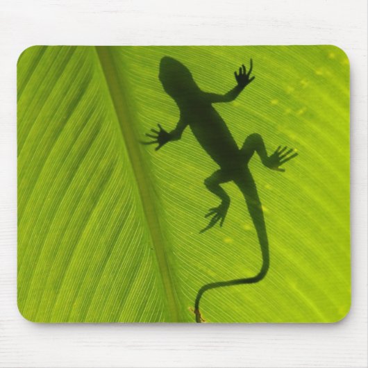Gecko Silhouette Muismat (Voorkant)
