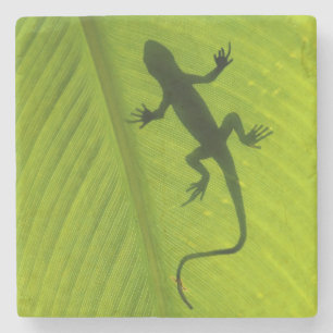Gecko Silhouette Stenen Onderzetter