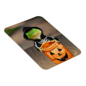 Gecko Skeleton Magneet (Rechterzijde)