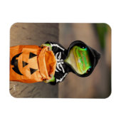 Gecko Skeleton Magneet (Horizontaal)