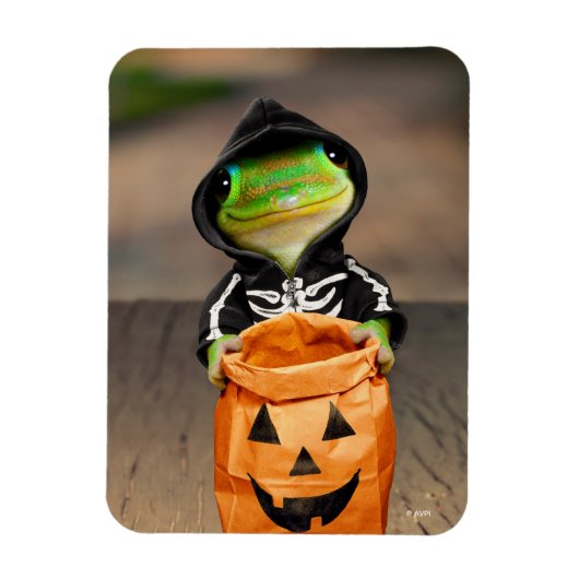 Gecko Skeleton Magneet (Verticaal)