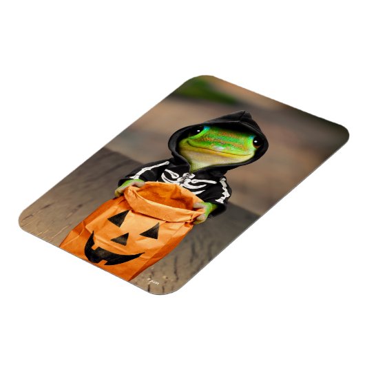 Gecko Skeleton Magneet (Linkerzijde)