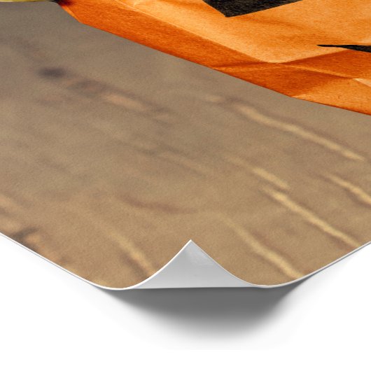 Gecko Skeleton Poster (Hoek)