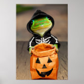 Gecko Skeleton Poster (Voorkant)