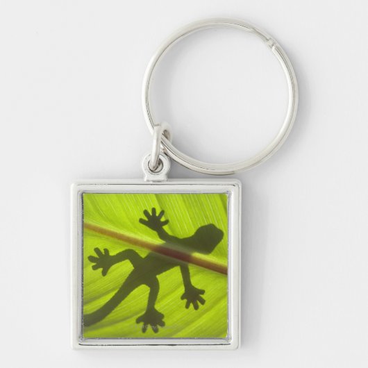 Gecko Sleutelhanger (Voorkant)
