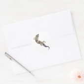 Gecko Stickers 01 (Envelop)
