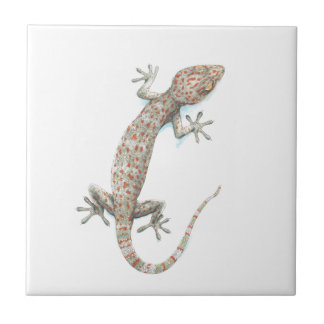 gecko tegeltje