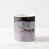 Gecko Territory Koffiemok (Center)