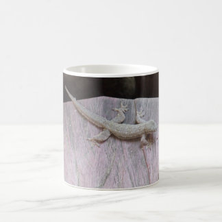 Gecko Territory Koffiemok