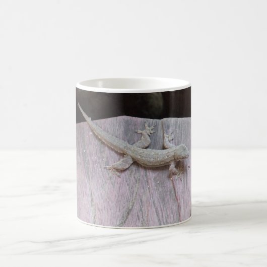 Gecko Territory Koffiemok (Center)