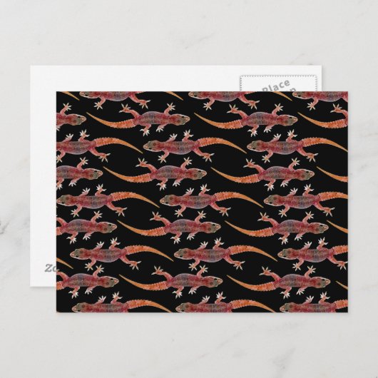 Geckos Briefkaart (Voorkant / Achterkant)