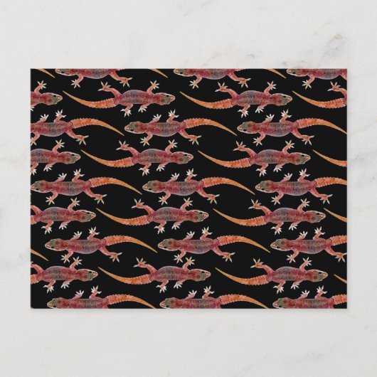 Geckos Briefkaart (Voorkant)