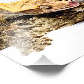 Geckos Foto Afdruk (Hoek)