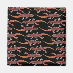 Geckos Magneet