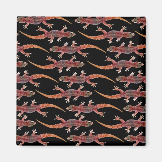 Geckos Magneet (Voorkant)
