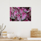 Geclusterd Roze Caladium Leaves Poster (Keuken)