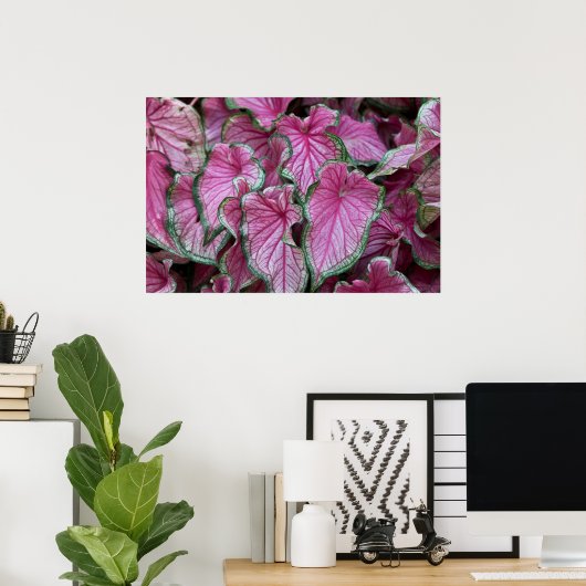 Geclusterd Roze Caladium Leaves Poster (Thuiskantoor)